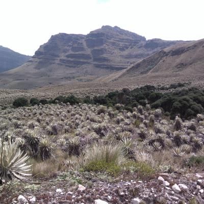 Cada gota cuenta, salvemos al Sumapaz