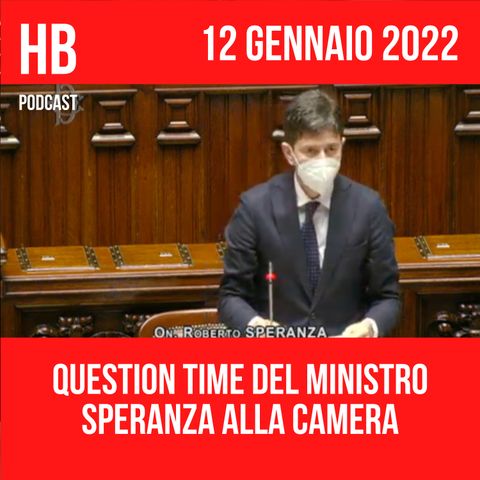 Question Time alla Camera del Ministro Roberto Speranza