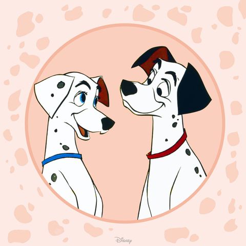 07.12.2025 - 101 Dalmata