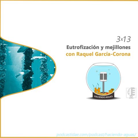 3x13 Eutrofización y mejillones