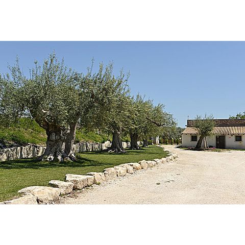 Azienda Agricola Cinque Colli a Chiaramonte Gulfi (Sicilia)