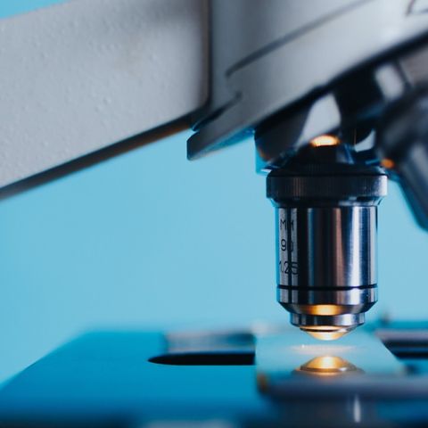 Le nanoparticelle sono un’arma sostenibile contro i parassiti del suolo