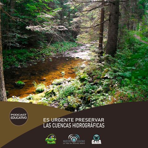 NUESTRO OXÍGENO Es urgente preservar las cuencas hidrográficas – Prof. Freddy Adalberto Martínez