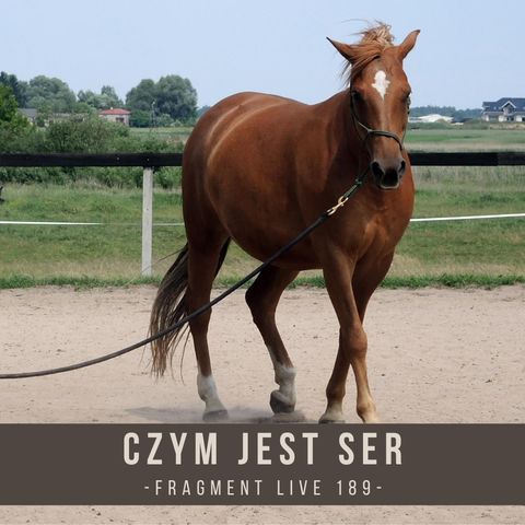 Czym jest SER - fragment live 189