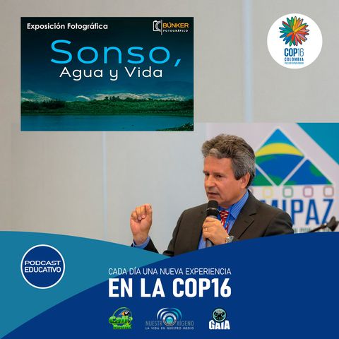 04- NUESTRO OXÍGENO Clima y Biodiversidad-Juan C. Barrero - Sonso, agua y vida-Sec. de ambiente