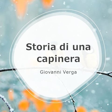 Storia di una capinera