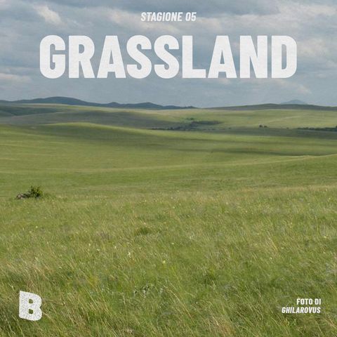 Ep 44 • Grassland