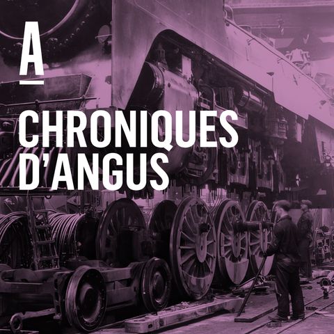 Angus au quotidien
