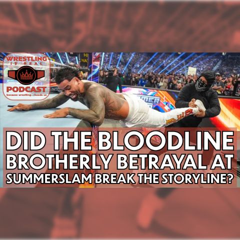 Did the Bloodline Brotherly Betrayal at SummerSlam Break the Storyline? (ep.788)