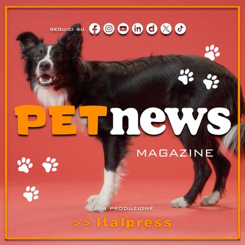 PetNews Magazine - 2/1/2024