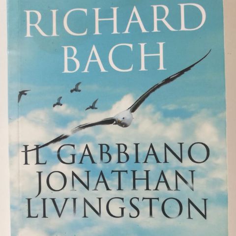 Lara Castoldi classe 4A Primaria D.Alighieri ci parla de " Il Gabbiano Jonathan Livingston" di R. Bach
