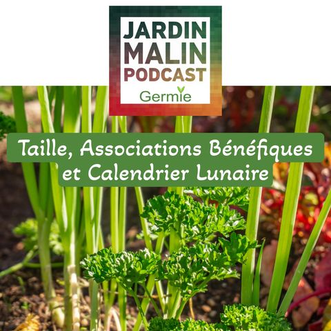 Taille, Associations Bénéfiques et Calendrier Lunaire