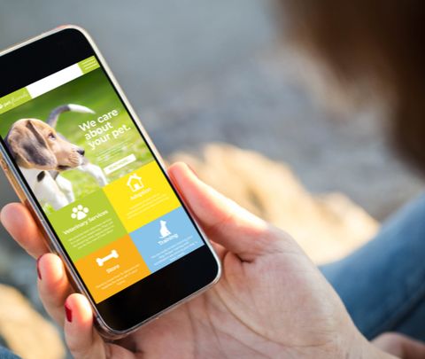 Alimentation, garde…: comment le marché animalier innove avec le numérique