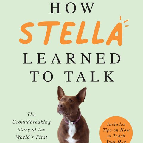 Christina Hunger Releases The Book How Stella Learned To Talk