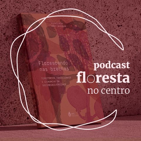 Florescendo nas brechas parte 1