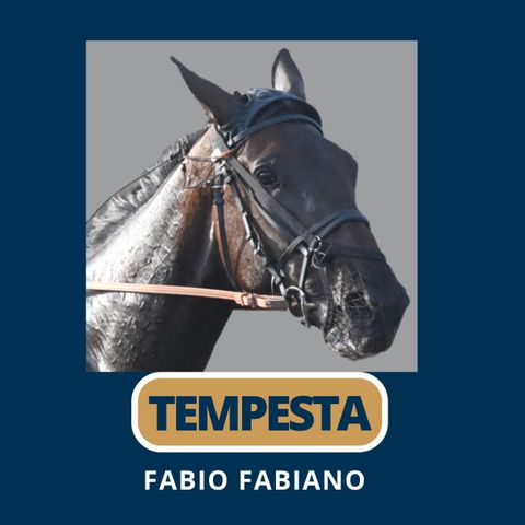 TEMPESTA 4° CAPITOLO