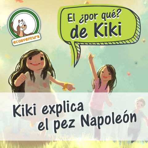 El por qué de Kiki, capítulo cinco: Kiki explica el pez Napoleón