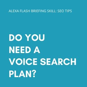 Do you need a voice search plan?
