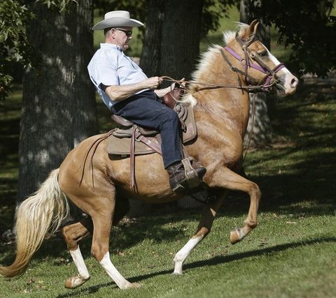Judge Moore crushes Strange,Mitch McConnel,and Karl Rove in Runoff