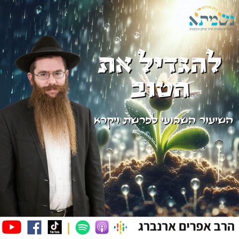 להגדיל את הטוב | קדושת לוי פרשת ויקרא | הרב אפרים ארנברג