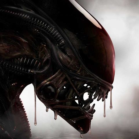 Alien