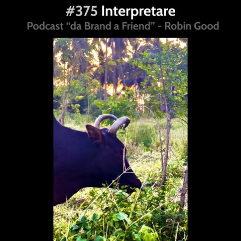 #375 - Interpretare