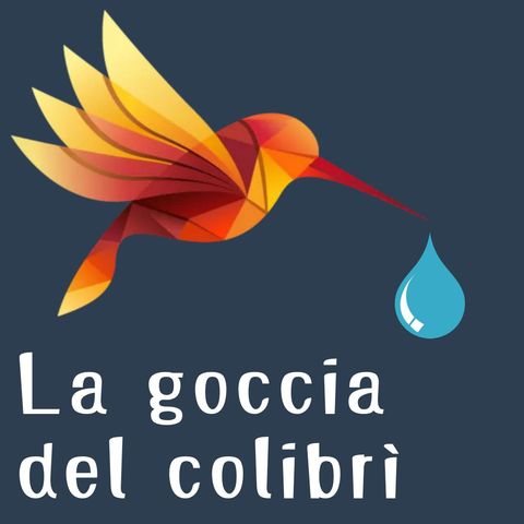 La goccia del colibrì S01 E20 - Rifiuti in Italia