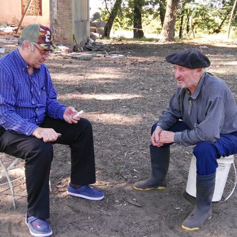 Soy nacido en el campo Poema de Nestor O Salgado