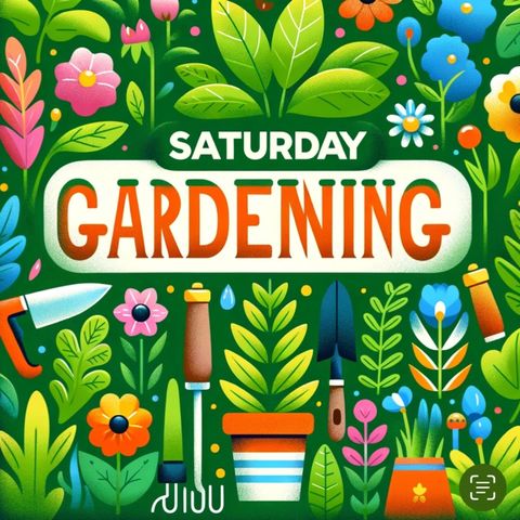 "Saturday Allotment Adventures: Weekend Gardening Tips"