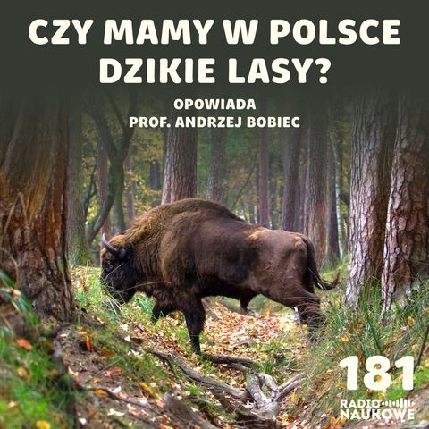 #181 Polskie lasy - czy da się w nich pogodzić ekologię z ekonomią? | prof. Andrzej Bobiec
