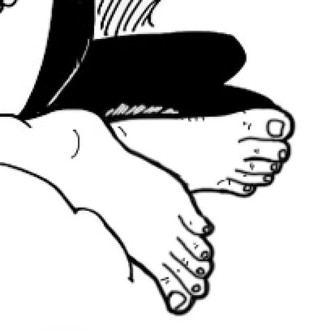 N°806: Cagne e piedi marci