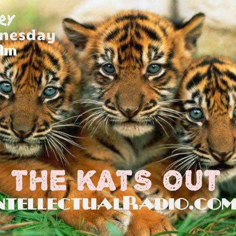 The Kats Out