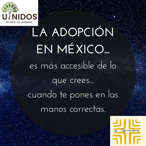 Adoptar es más fácil de lo que crees: Procesos de adopción en México.