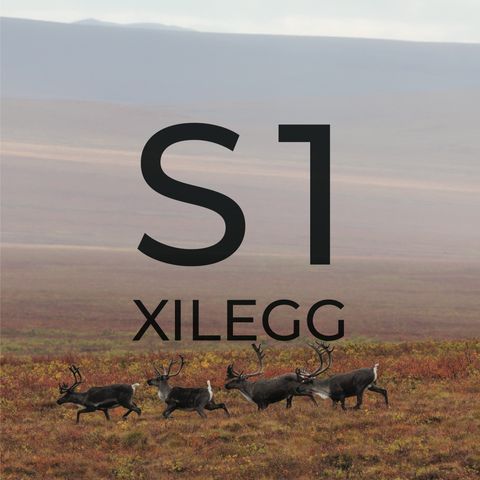 Xilegg Trailer