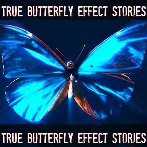 Real Life Butterfly Effect Stories