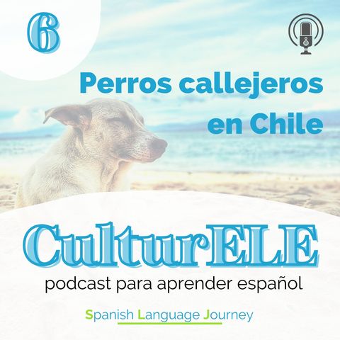 EP6 Los perros callejeros en Chile