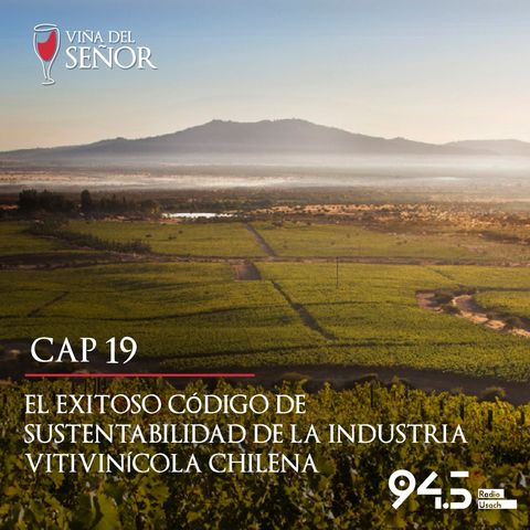 El exitoso código de sustentabilidad de la industria vitivinícola chilena