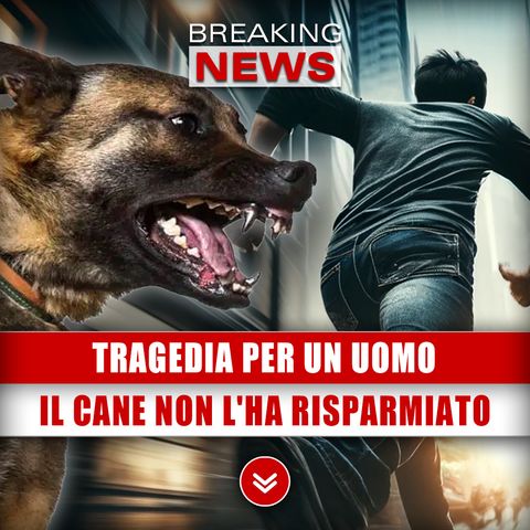 Tragedia Per Un Uomo: Il Cane Non L'Ha Risparmiato!