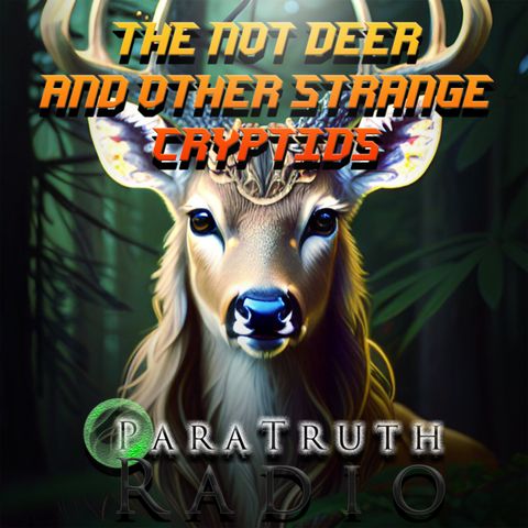 The Not Deer and Other Strange Cryptids