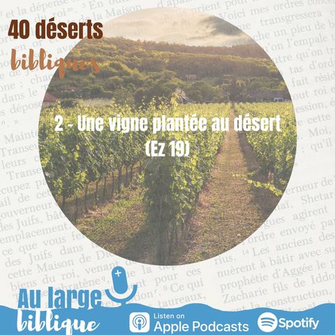 #19 Désert 2 - Une vigne plantée au désert (Ez 19)