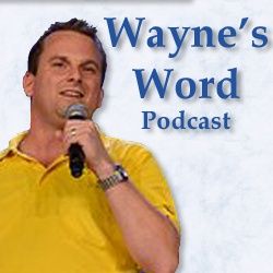 Episode 15 - Scatterbrain Wayne
