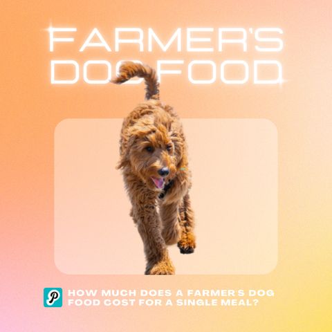 How Much Does a Farmer's Dog Food Cost for a Single Meal?