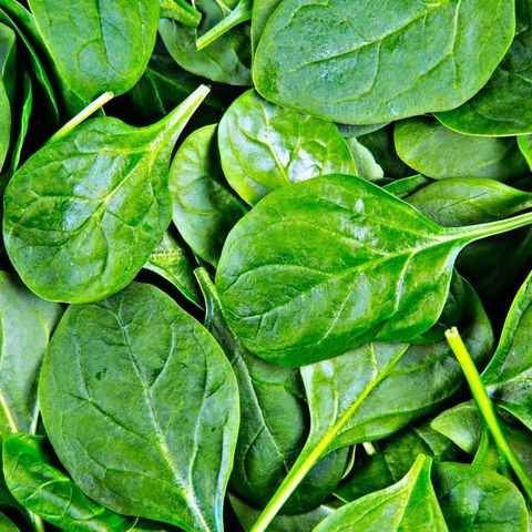 60 Seconds of Spinach a day can change your life! Here's How!