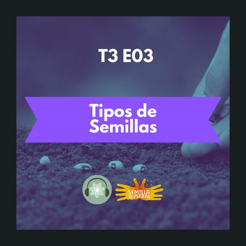 T3E03 - Tipos de Semillas