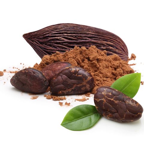Cacao: storia, curiosità e filosofia cacaotica