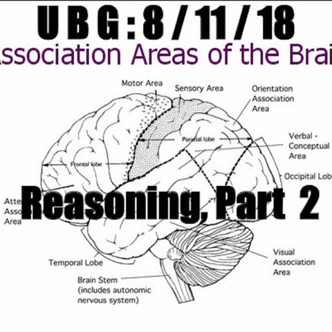 The Unpleasant Blind Guy : 8/11/18 - Reasoning, Part  2