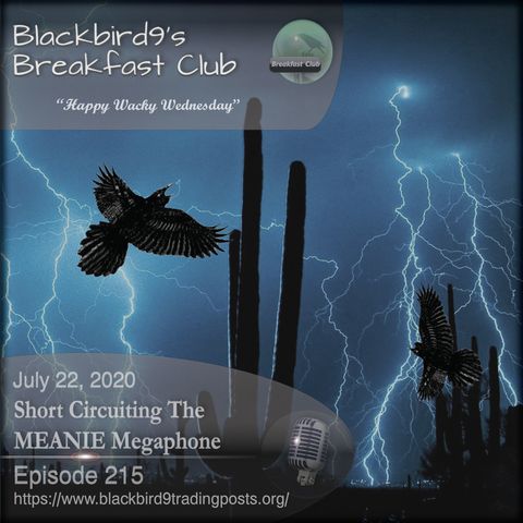 Short Circuiting The MEANIE Megaphone - Blackbird9 Podcast