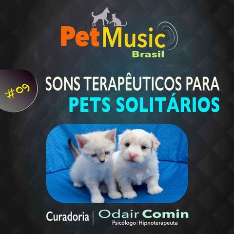 #09 Sons Terapêuticos para Pets que ficam Sozinhos