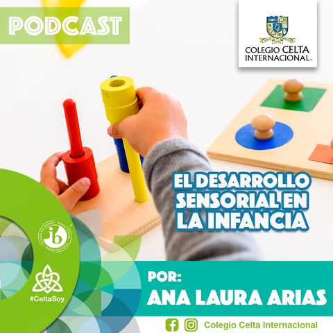Podcast 17 El desarrollo sensorial en la infancia