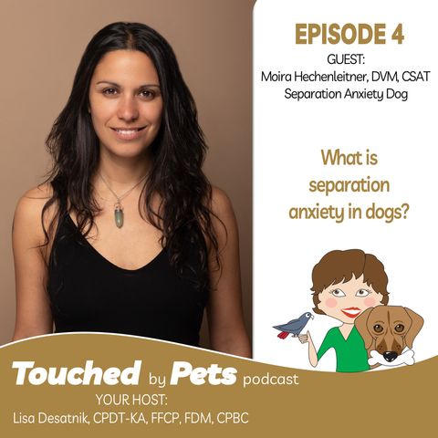 Episode 4: What is separation anxiety in dogs and is there hope?